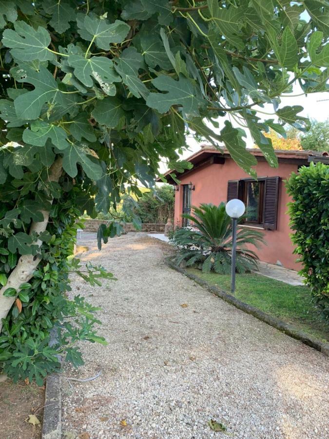 罗马La Casa Di Irene Nel Golf Club别墅 外观 照片